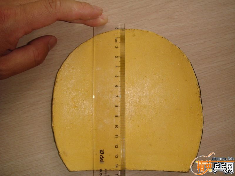 ���ۺ�ɫNITTAKU��Ƥ���ɫSTIGA��Ƥ