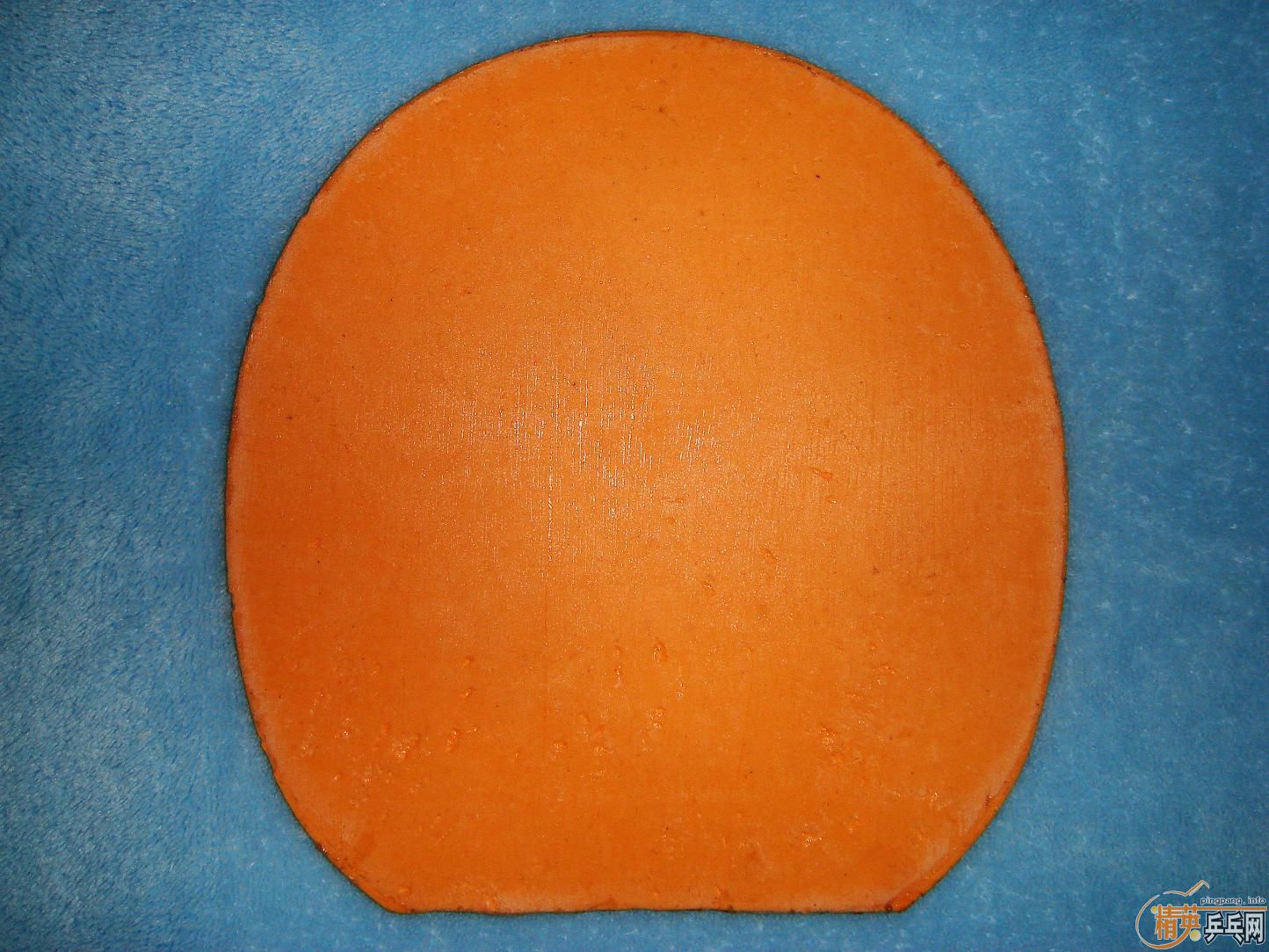 9.8����̼��,�л����,���׽�,��Ʒ��������,ϴ����,�ֱ���~~~~~~~~~~