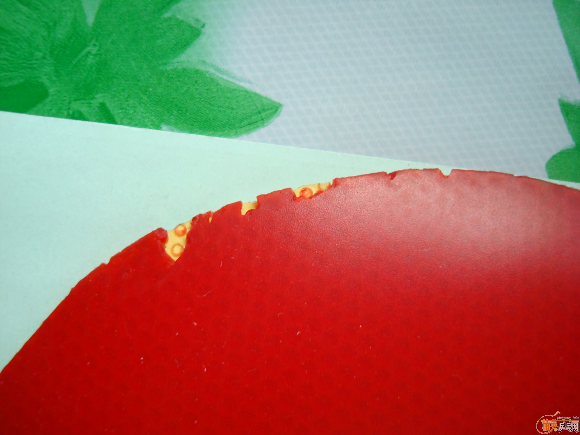 ��ֱ��MC-2��F1��EL��������HK1997ɬ�ȣ����꣡