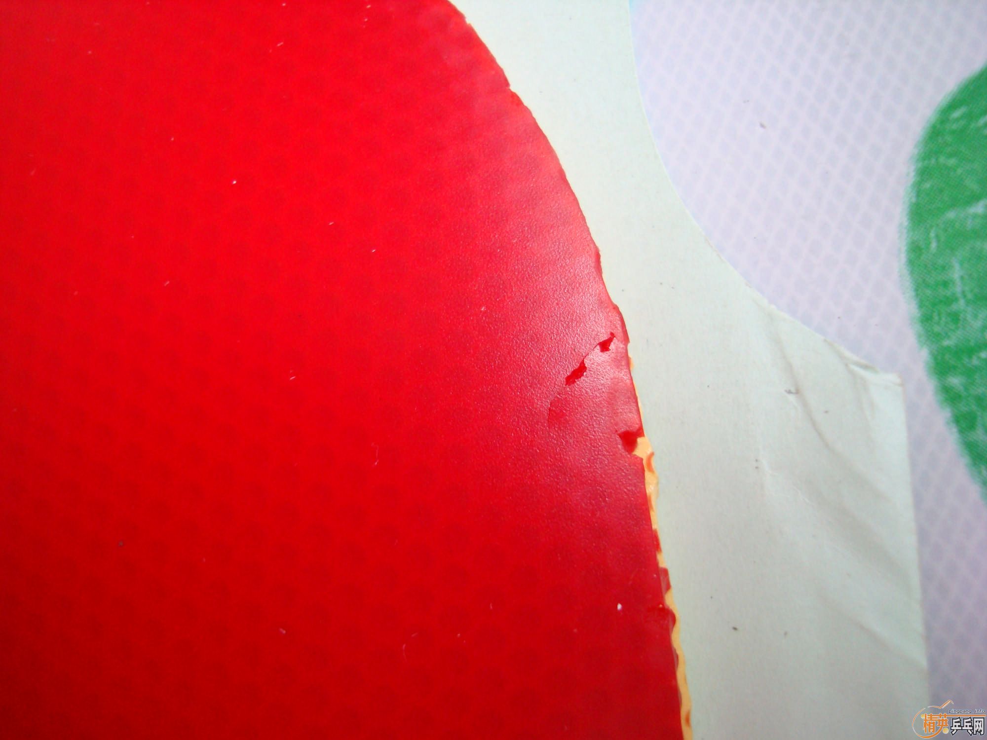 ��ֱ��MC-2��F1��EL��������HK1997ɬ�ȣ����꣡