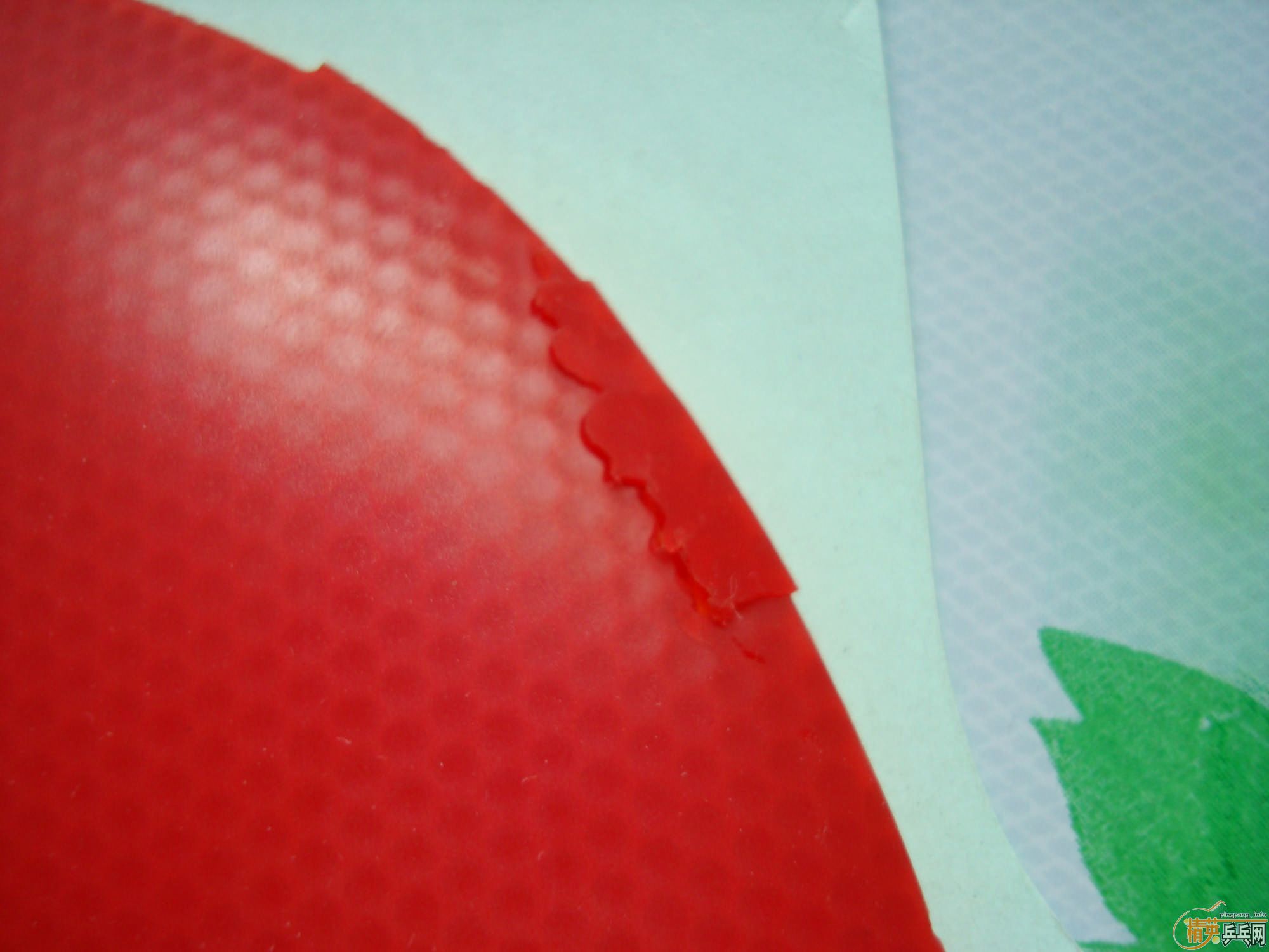 ��ֱ��MC-2��F1��EL��������HK1997ɬ�ȣ����꣡