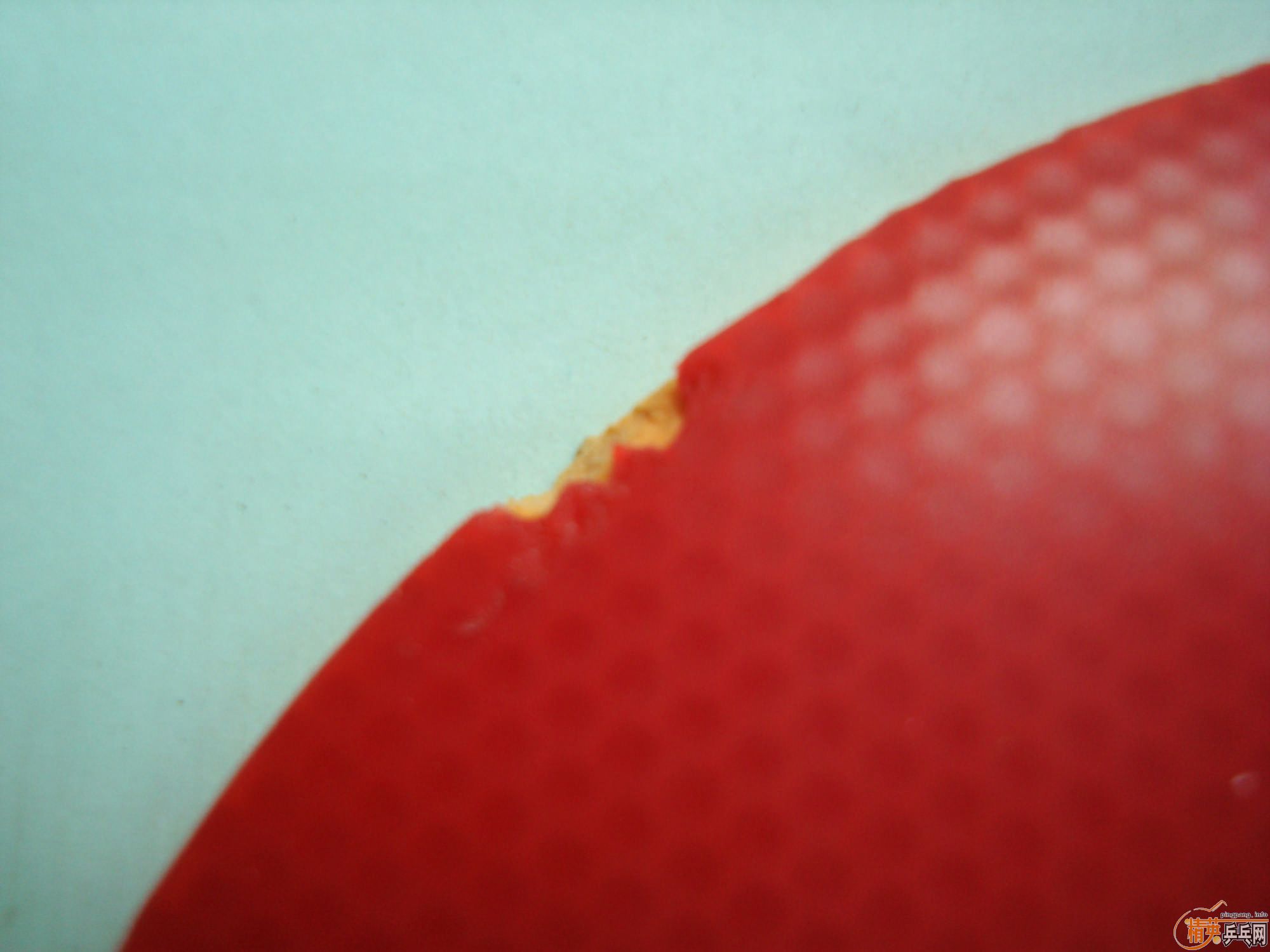 ��ֱ��MC-2��F1��EL��������HK1997ɬ�ȣ����꣡