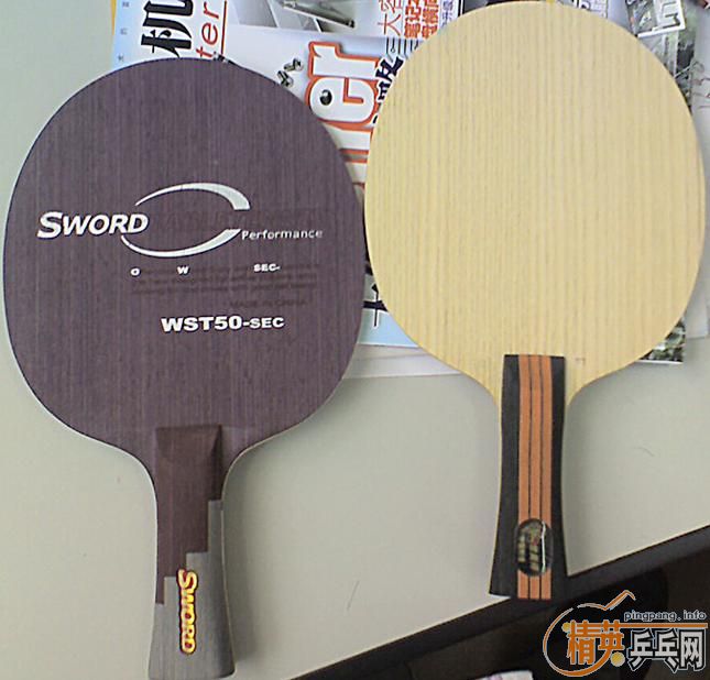 ���µö�����˹��ǿ FL 250 WST50 FL 100 �켫2 50