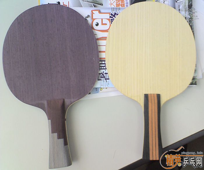 ���µö�����˹��ǿ FL 250 WST50 FL 100 �켫2 50