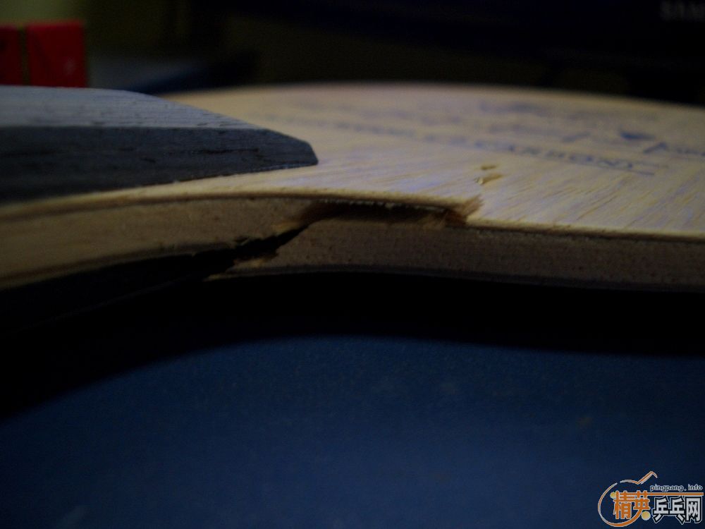 �ҵĿ�����̼~~~~