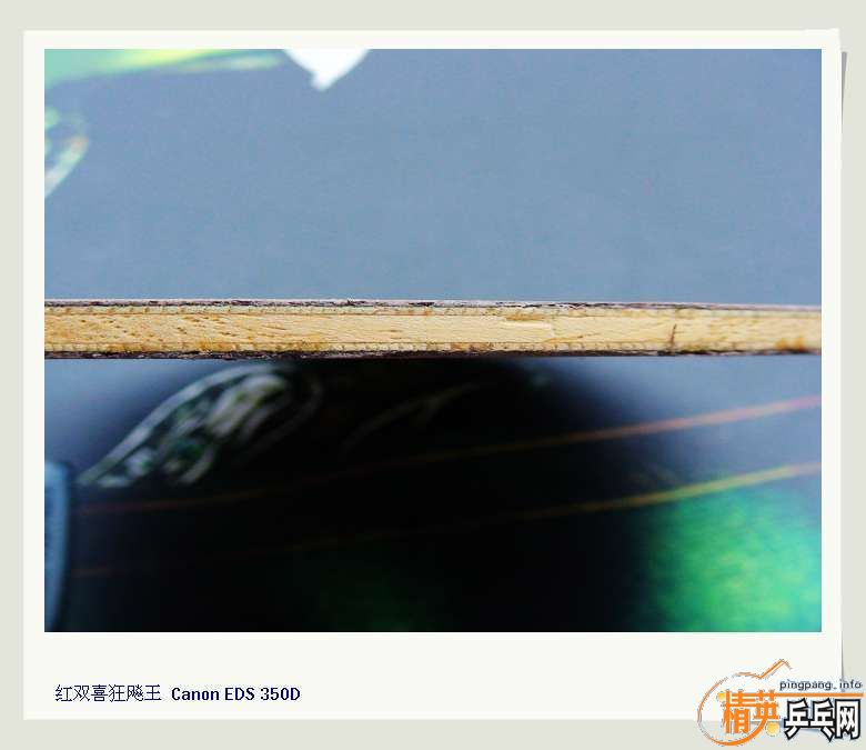 ʡ�Ӷ�Ա��06�������550����