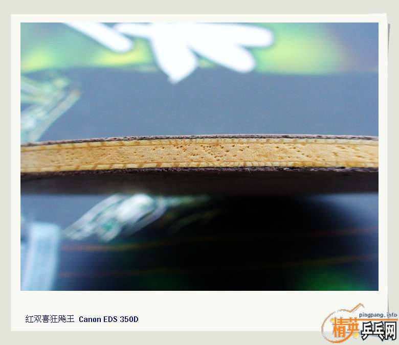 ʡ�Ӷ�Ա��06�������550����