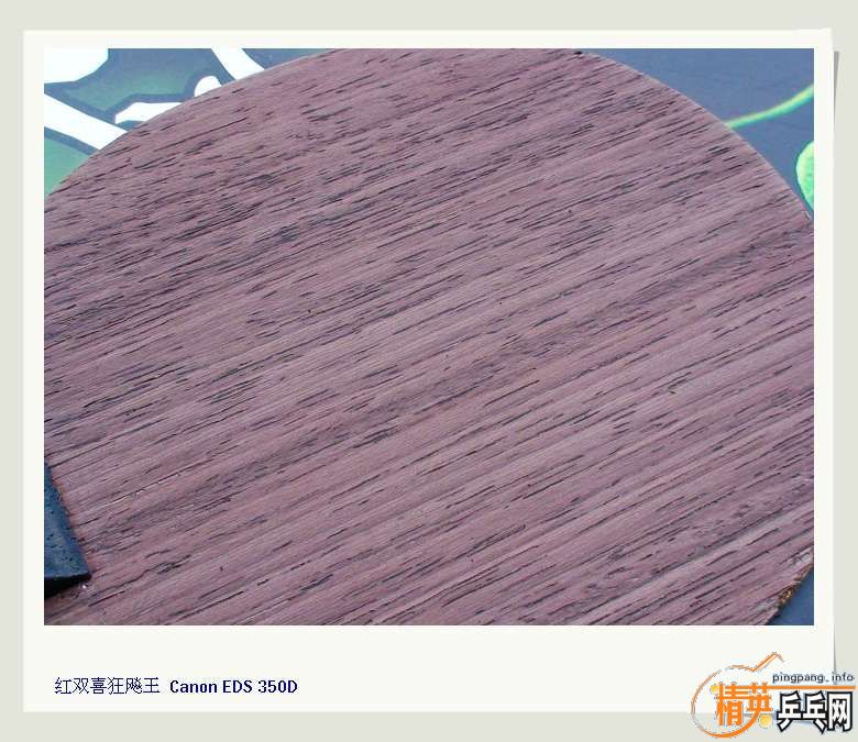 ʡ�Ӷ�Ա��06�������550����