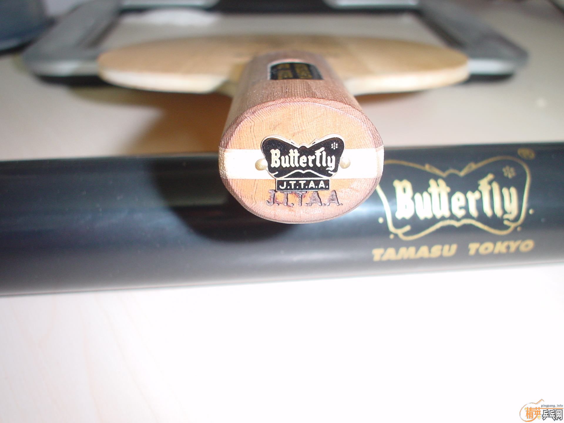 180Ԫ���������ºƶ�+����729+�������