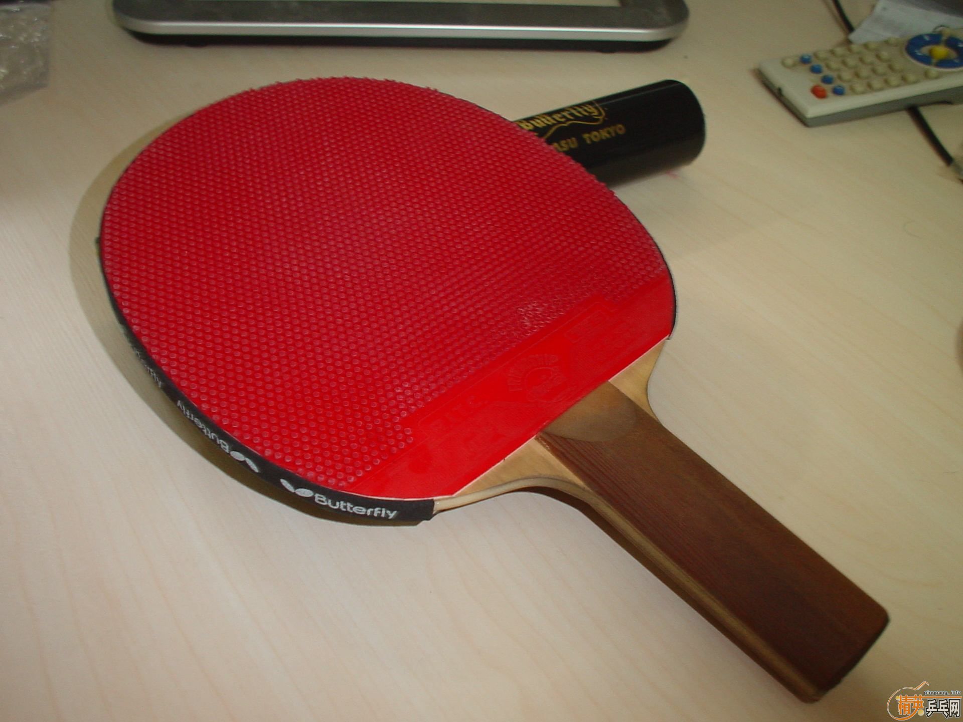 180Ԫ���������ºƶ�+����729+�������