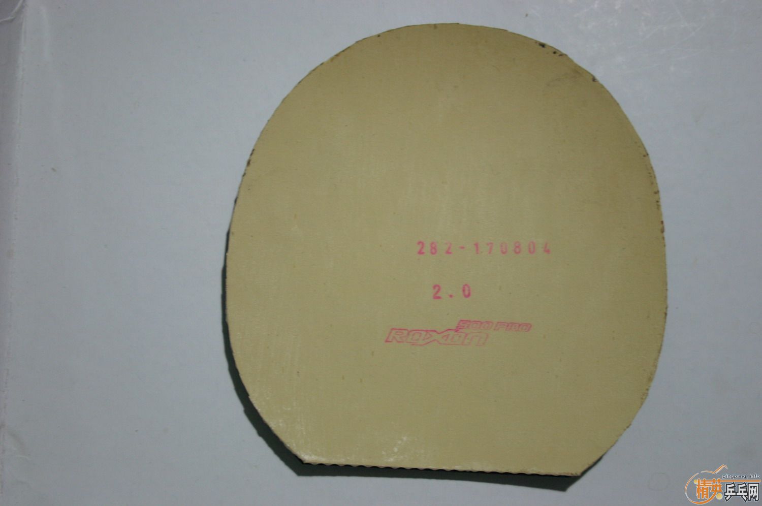 [��Ƥ] Roxon 500 Pro�� ɽŵ쫷�1L��ˮ