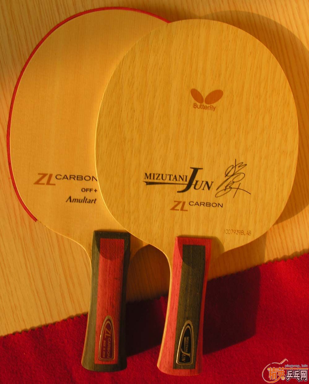  ZL-Carbon FLˮ