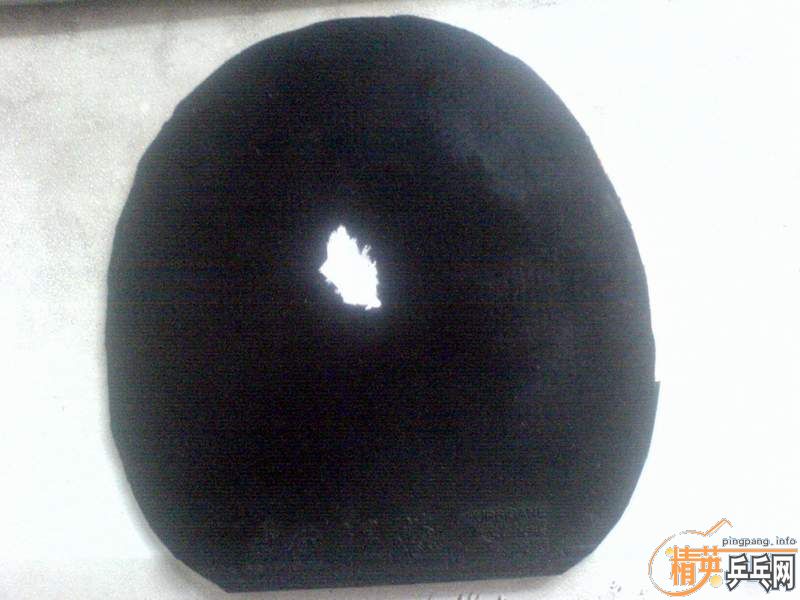 ����һ�鲨������(ŷ��)һ��2.15����!!