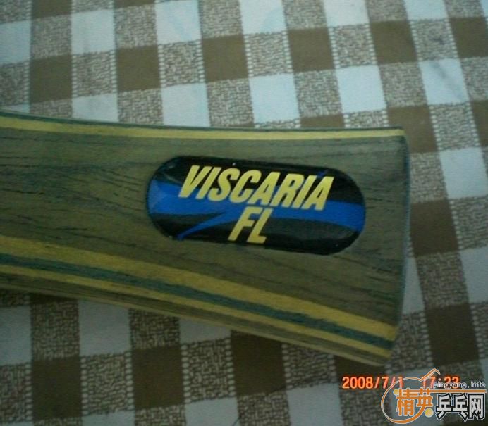 ֻ�ù����εĺ���viscaria-light