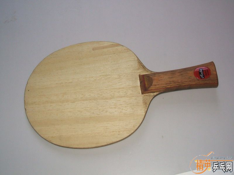 ȱ�׳���,DONIC DIOCN 150,AVALOX P500 200