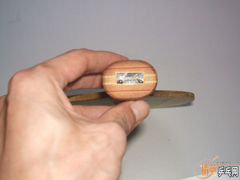 ȱ�׳���,DONIC DIOCN 150,AVALOX P500 200