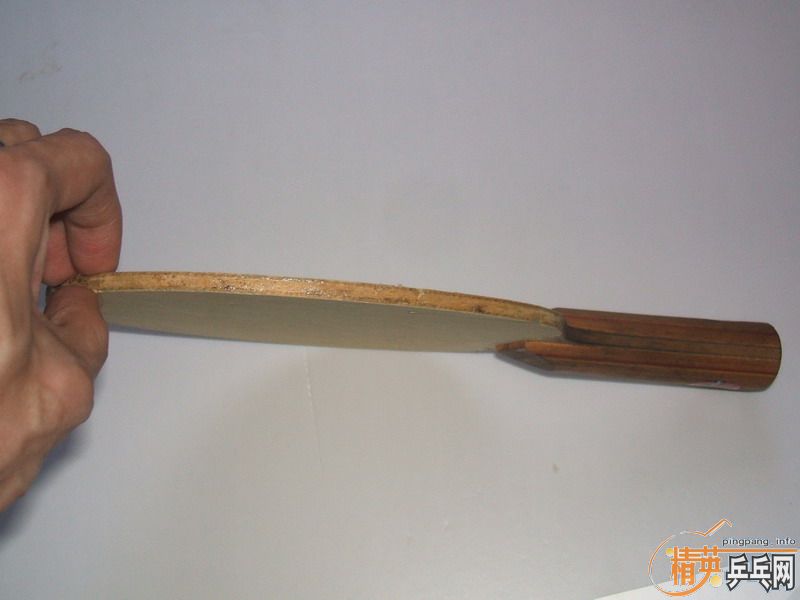 ȱ�׳���,DONIC DIOCN 150,AVALOX P500 200