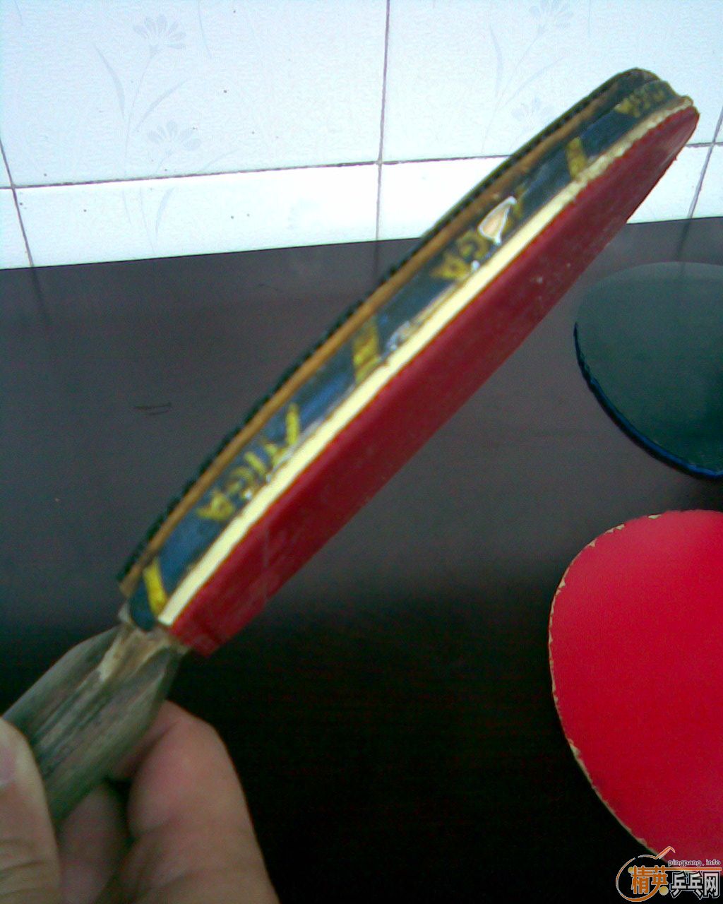 ֧Ͽ+COMPARA+EL+999T-1