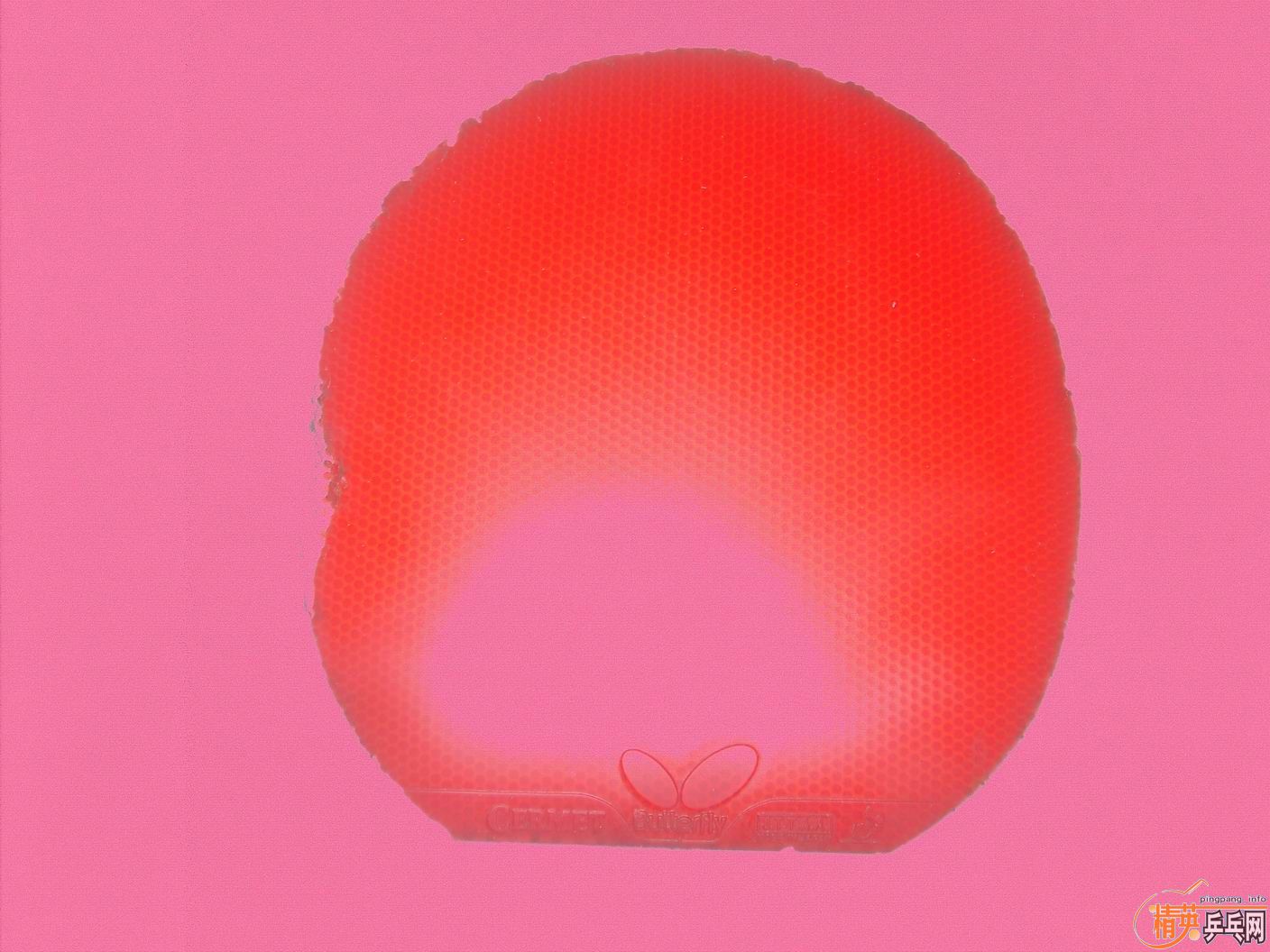 ۳ۼź