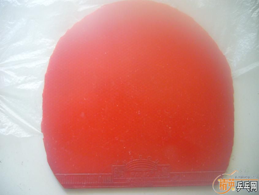 ���ý�Ƥ��˦�� �Ե������־�Ӣ