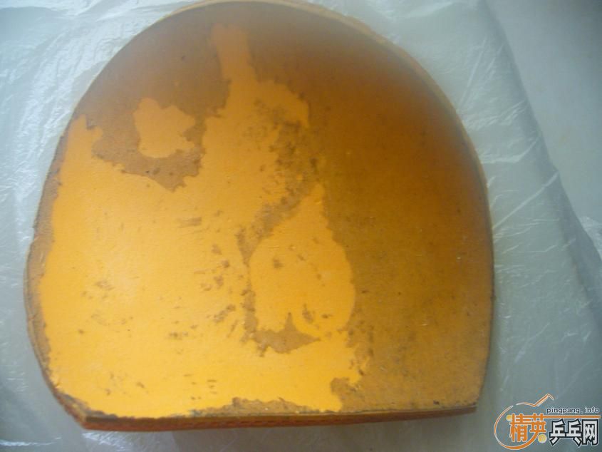 ���ý�Ƥ��˦�� �Ե������־�Ӣ