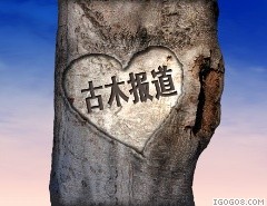 ����ÿ�ձ�������