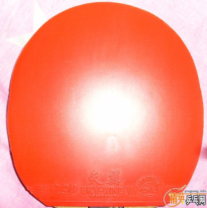 ��Щ����