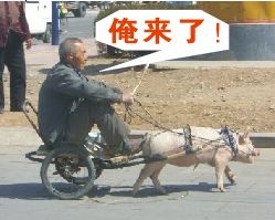 ����ÿ�ձ�������