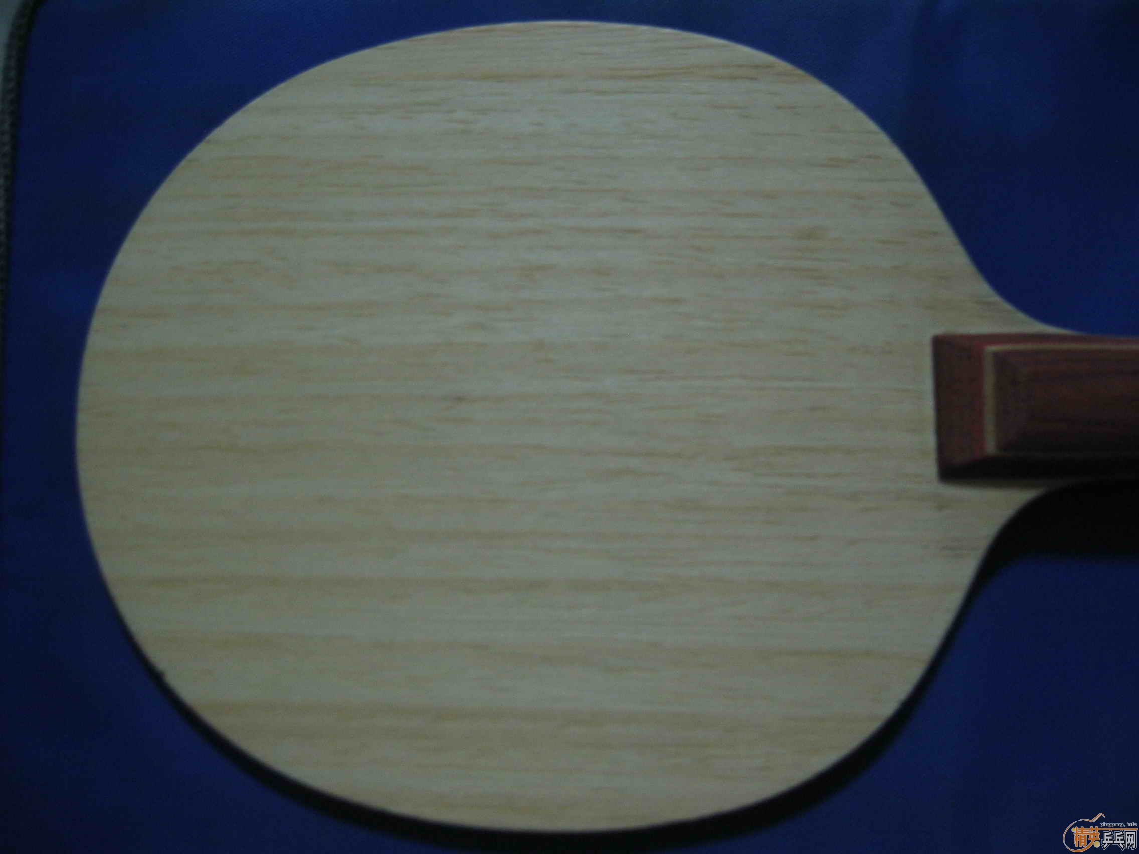 Nittaku R5FL280Ԫޱ