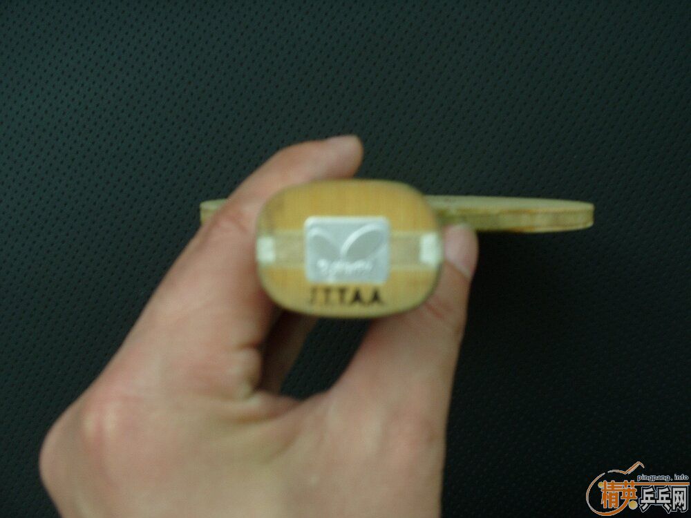 ���� ����������ά ����