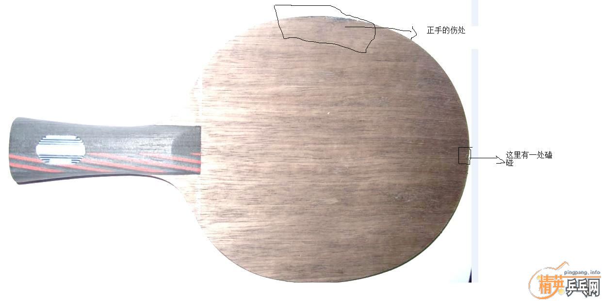 �ٽ�!��̼FL ��Ϊ240����!��һFL���300����!