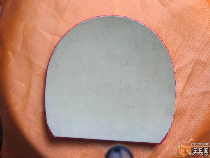 ��ʡ���������Ź���