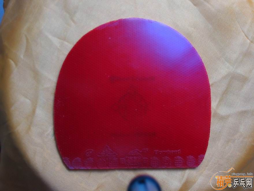 ��ʡ���������Ź���