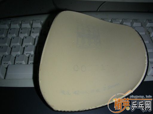 200Ԫ�����ʣ�˦��8��������T8����4���׽��������׺���Ĥ��