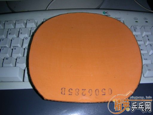 200Ԫ�����ʣ�˦��8��������T8����4���׽��������׺���Ĥ��