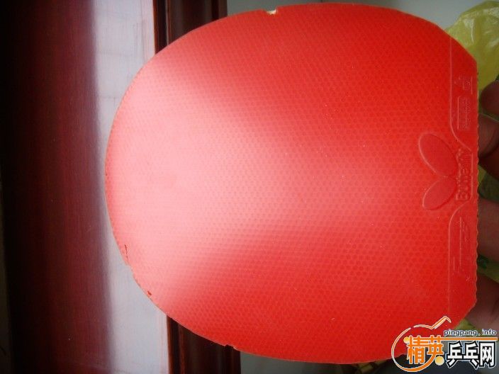 ��ɫ bryce140Ԫ�򽻻���ɫnittku hammond ϵ�н�Ƭ