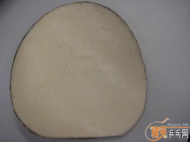 Donic F1 and TIhbar Rapid