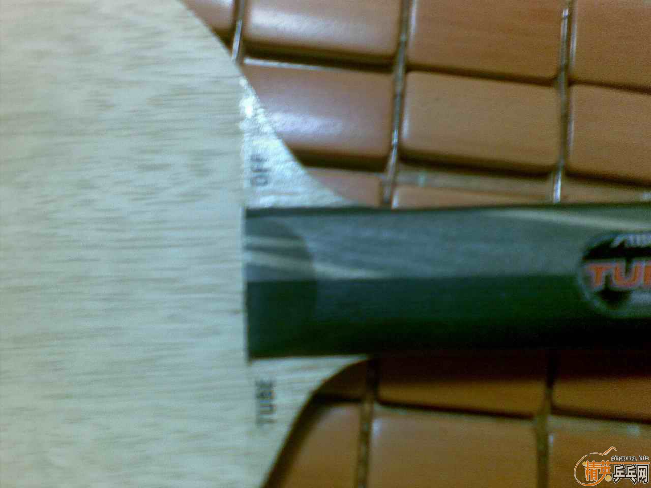 9��-ŷ��-��ƷTO-��ST��...300����...��ֱԿ�׿�15����...