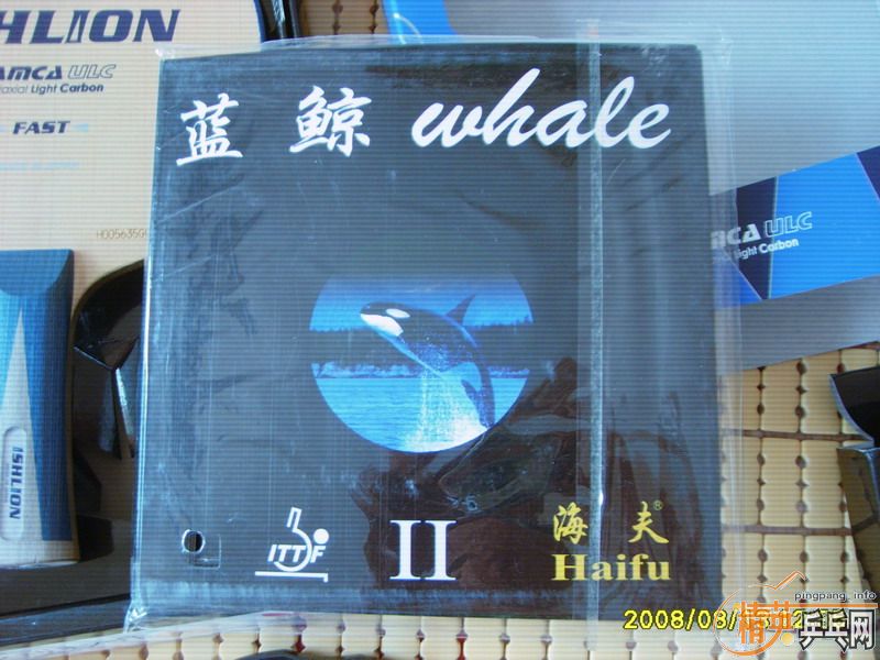 ��Ishlion������oc