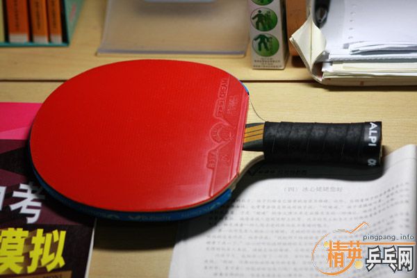 ľ����600������������729��ƷӢ���׽�