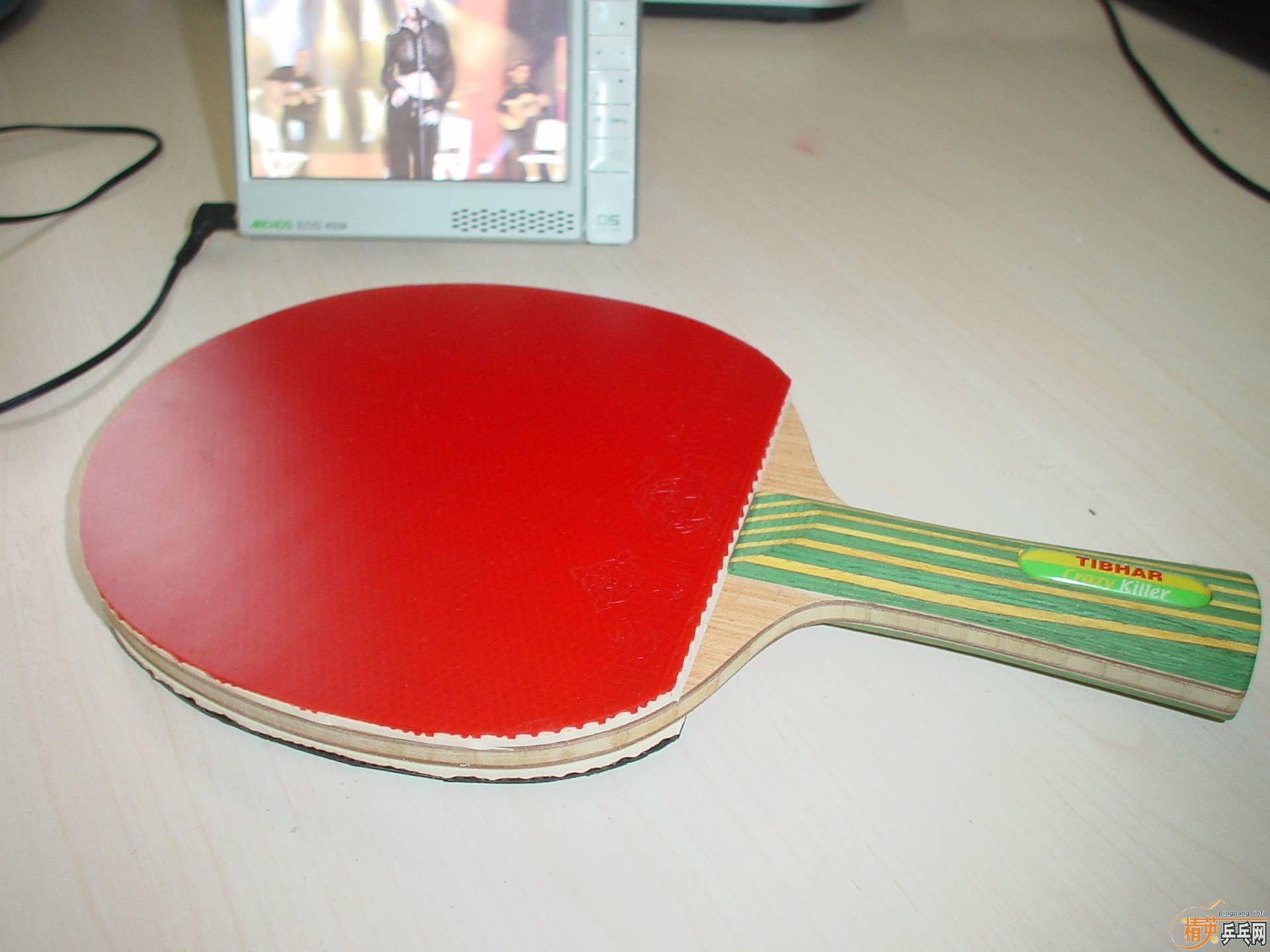 ���׽���������