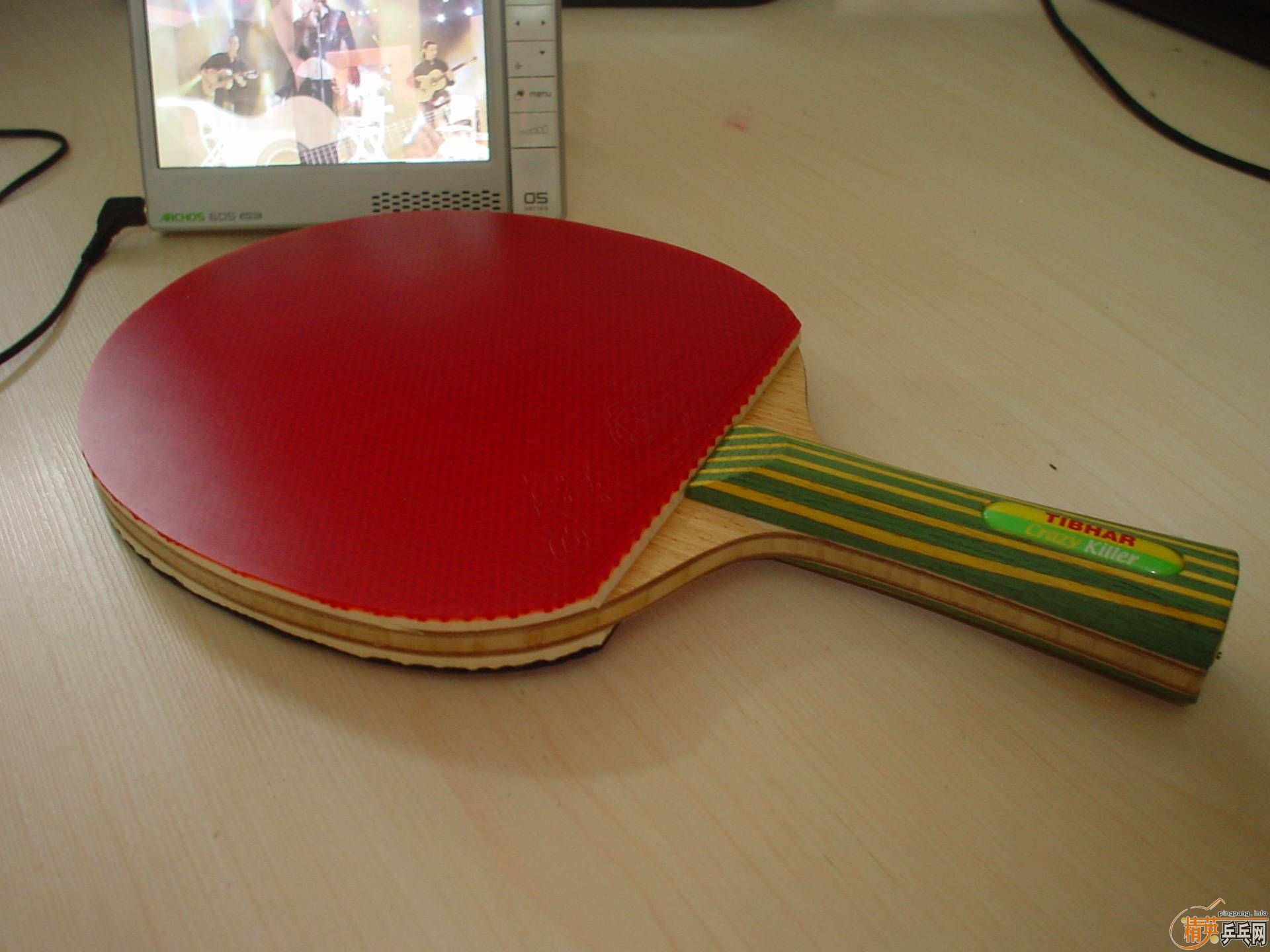 ���׽���������