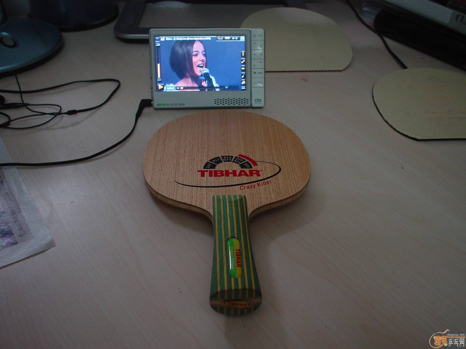 ���׽���������