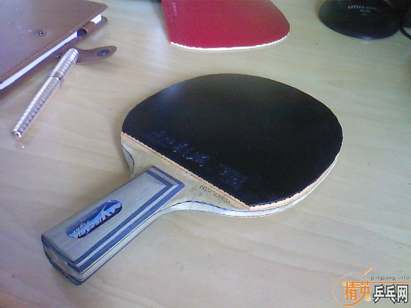 [�Ƽ�]��ֱ��viscaria-light һ�� �л�