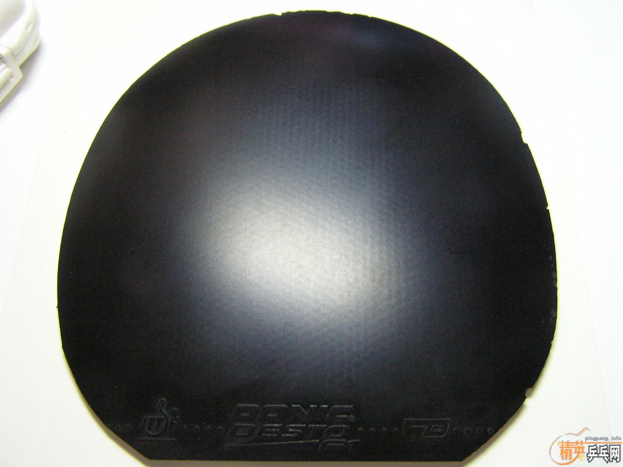 nittaku hammondpro ɫƤdonic f1 jo gold