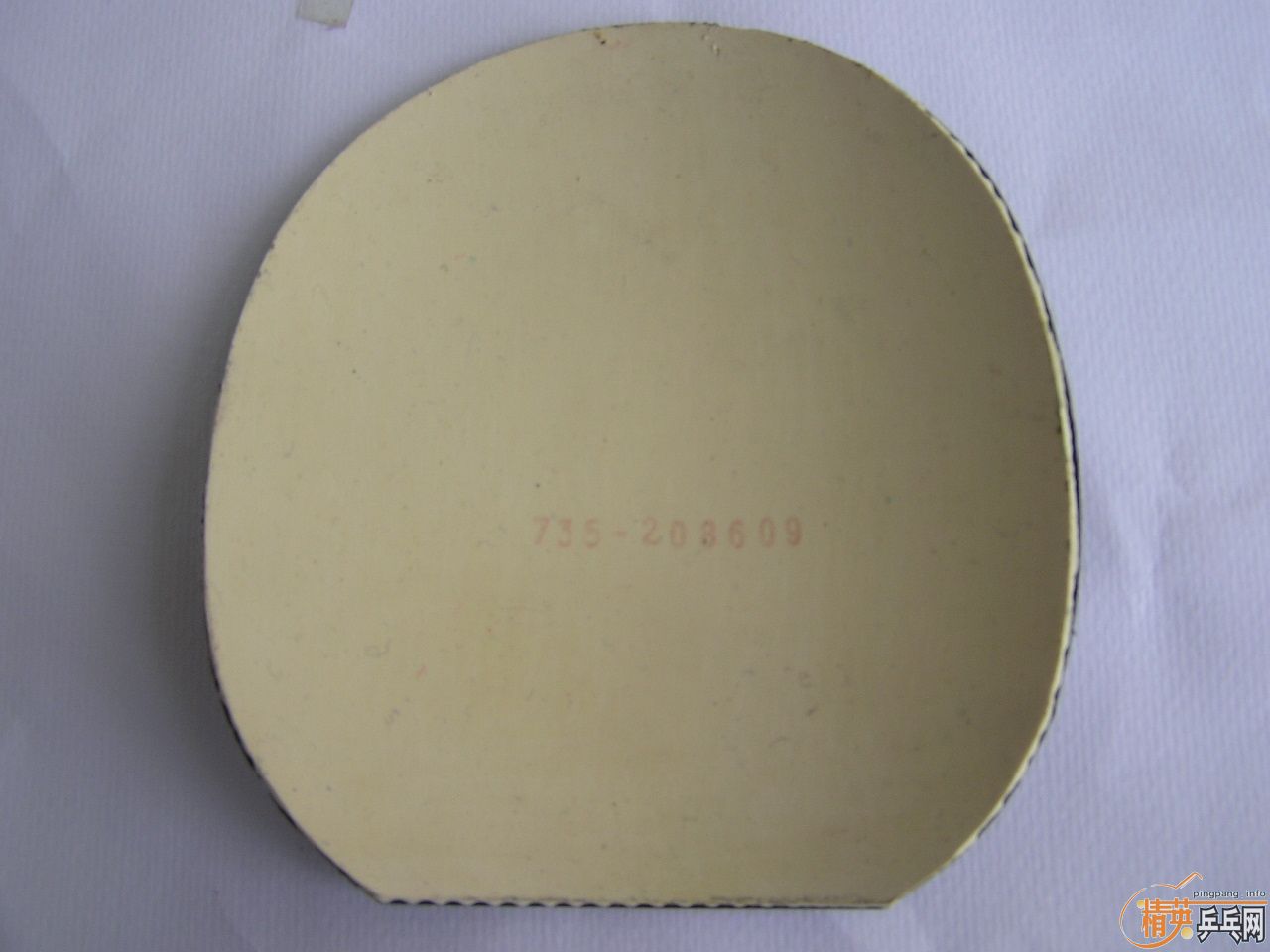 nittaku hammondpro ɫƤdonic f1 jo gold