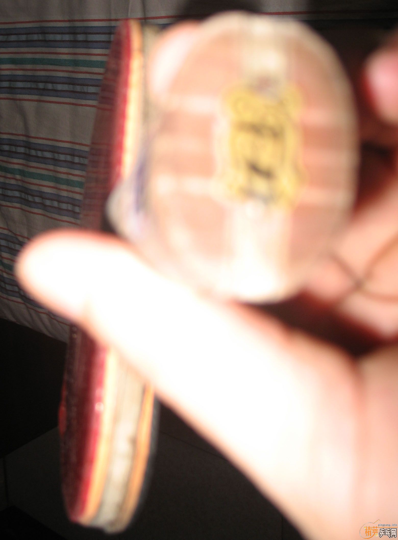 [ԭ��]��729�������潺Ƥ220����