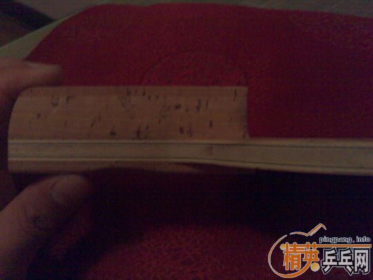 [ԭ��]��9.8���µĺ���������̼�ؼӽ�Ƥ800����