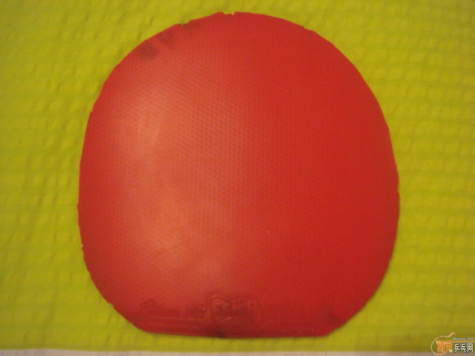 �������ʵ�õ��׽�