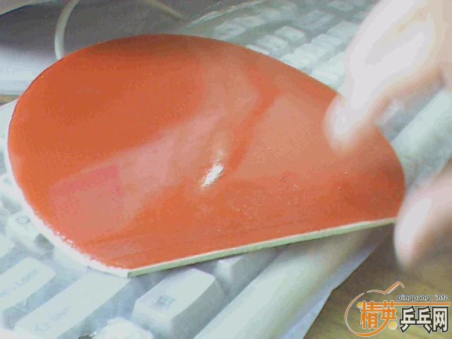 �׽�������˳���